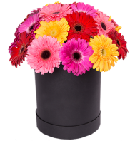 Композиция в шляпной коробке «Яркие моменты»