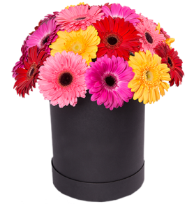 Композиция в шляпной коробке «Яркие моменты»